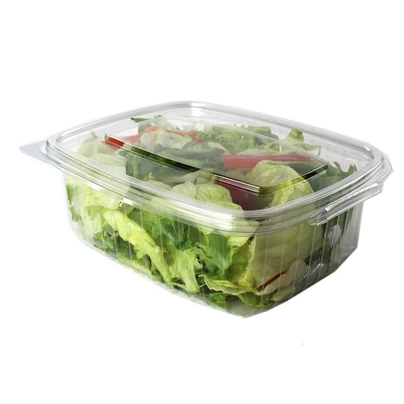 SALADE CONTAINER